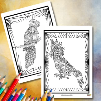 Bird coloring pages