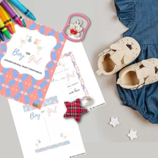 Gender reveal party bundle